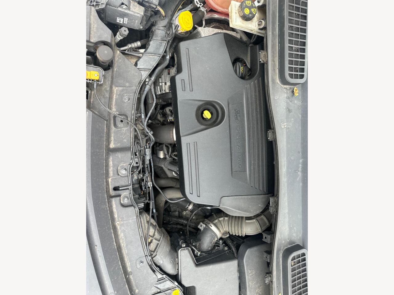 Ford Kuga WD17NFJ
